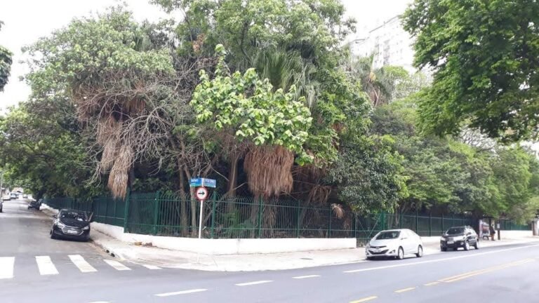 Parque Vila Ema a partir da Avenida Vila Ema