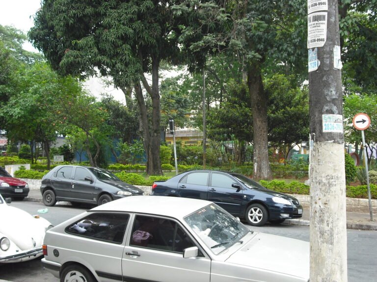 Aricanduva, São Paulo, Brasil - 04