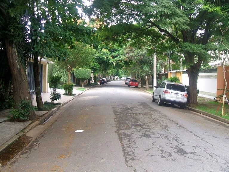 Rua no bairro do Butantã, cidade de São Paulo, Brasil.