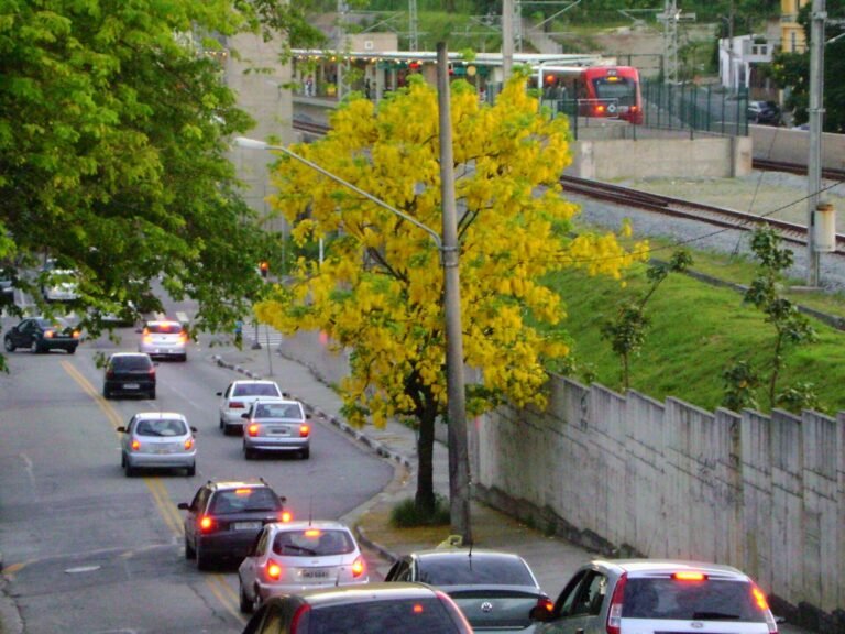 Sinal Amarelo!