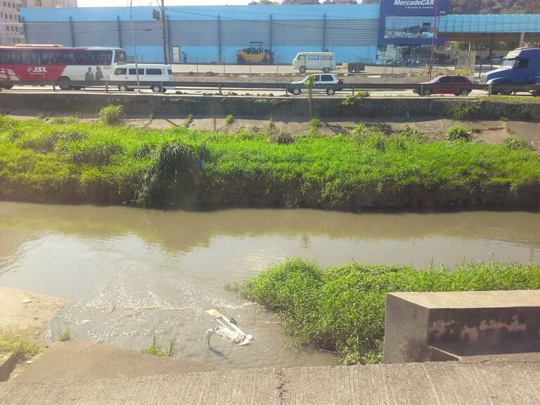 Imagem tirada de uma garça dentro do córrego da Avenida Aricanduva. A pobre ave quase se confunde com o lixo à sua volta