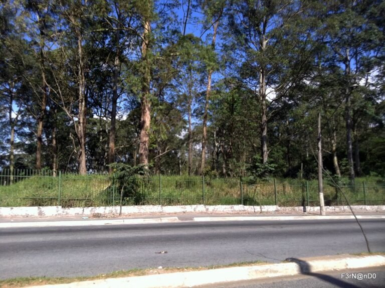 Itaquera - SP