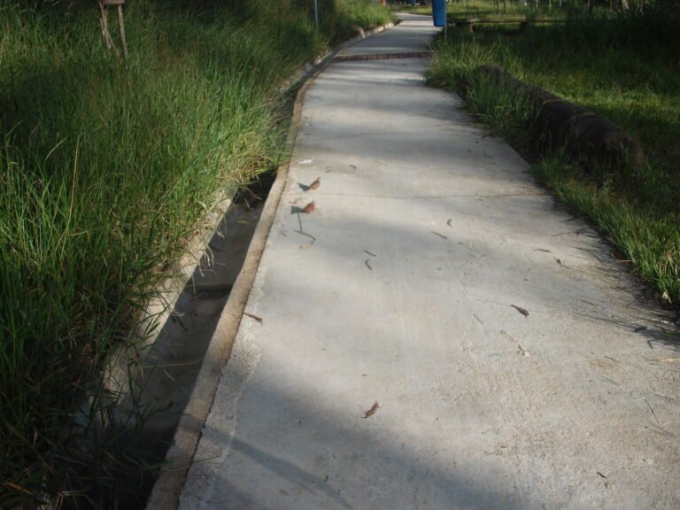 Black Consciousness Park, Cidade Tiradentes, São Paulo city, São Paulo state, Brazil.