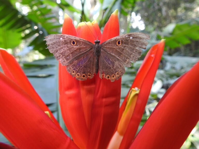 Foto tirada no Jardim Botânico de São Paulo