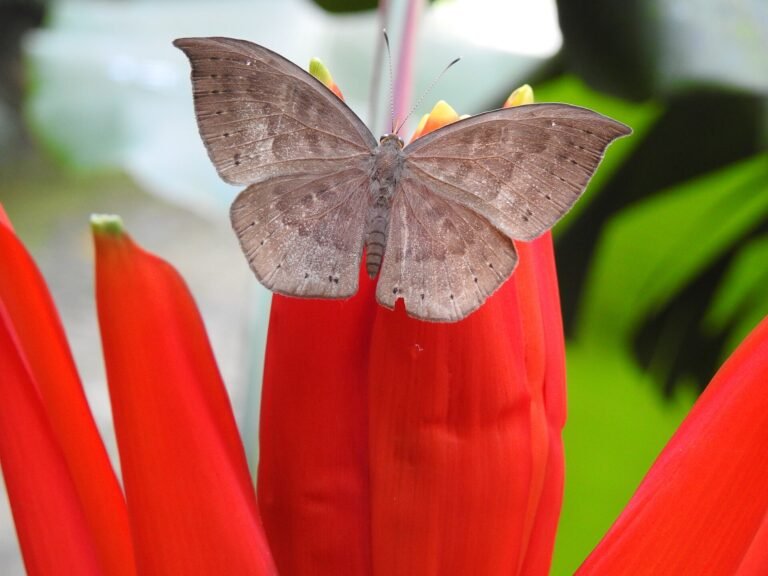 Foto tirada no Jardim Botânico de São Paulo