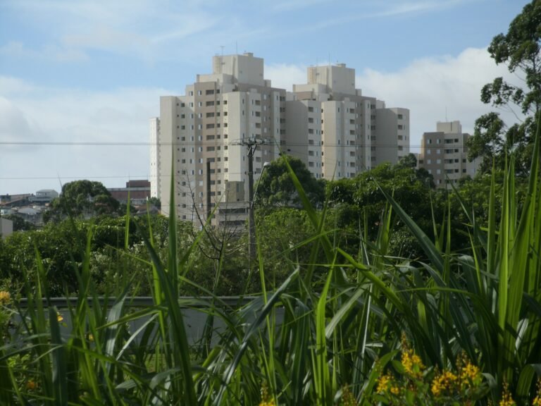 Parque Ecológico do Tietê – Empreendimentos Imobiliários ao seu redor.