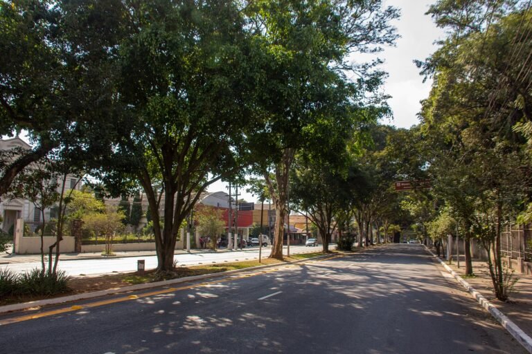 Avenue Nazaré, São Paulo, Brazil