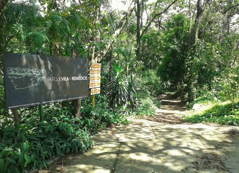 Parque Vila dos Remédios, SP.