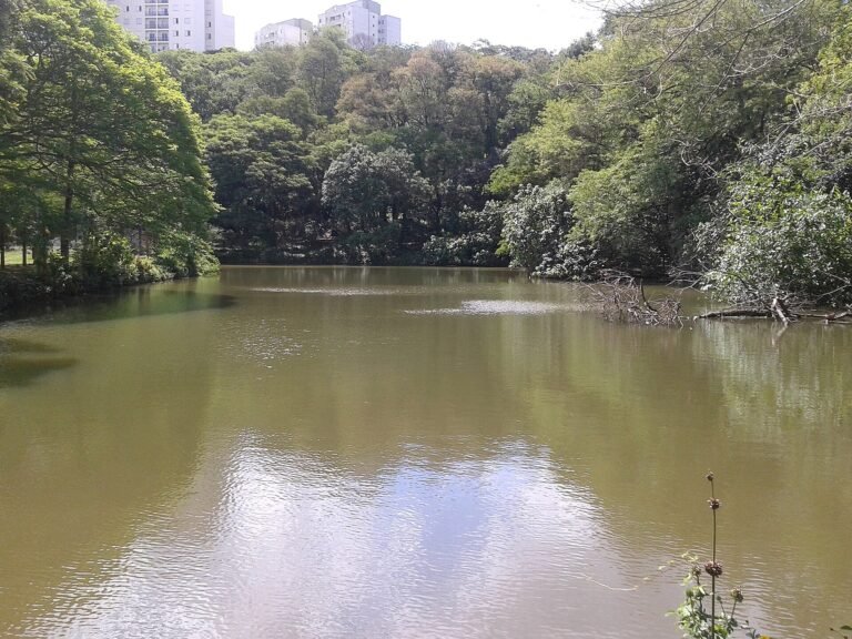 Parque Vila dos Remédios, SP.