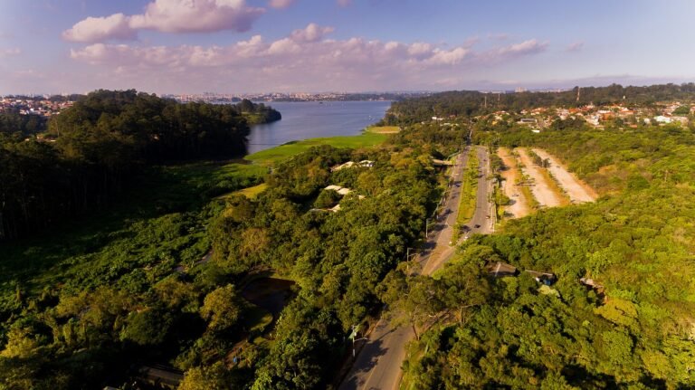 Imagem vista do alto da reserva do Parque Ecológico