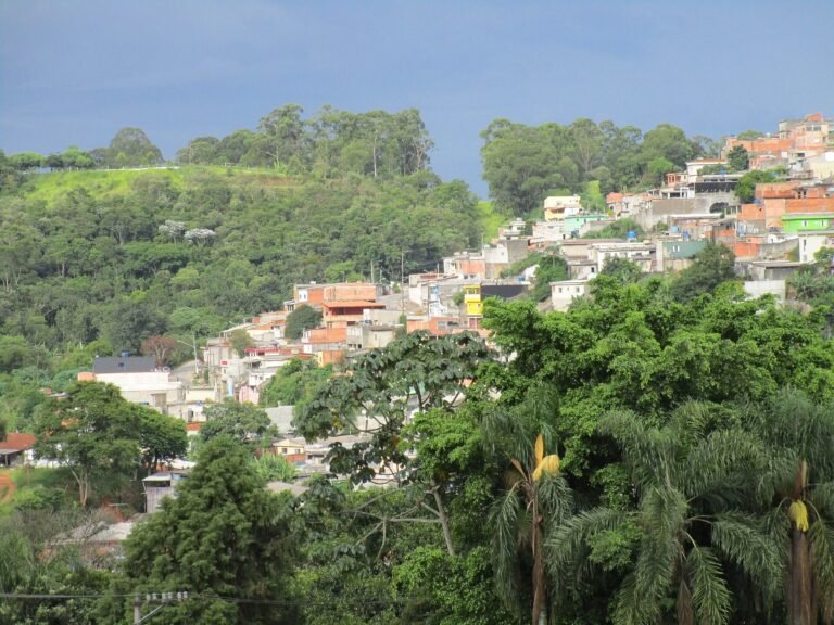 Morro do Lago Park overlooking the Bologne Park. São Paulo, SP, Brazil.