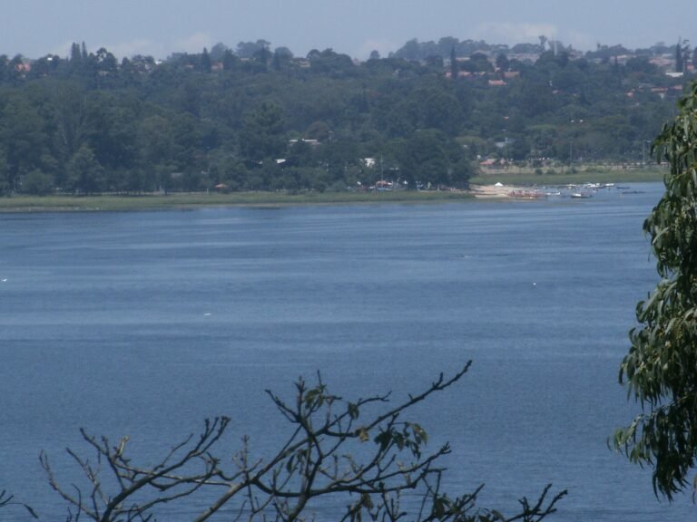 Vista da Represa - Parque Guarapiranga - Av. Guarapiranga 505 (6)