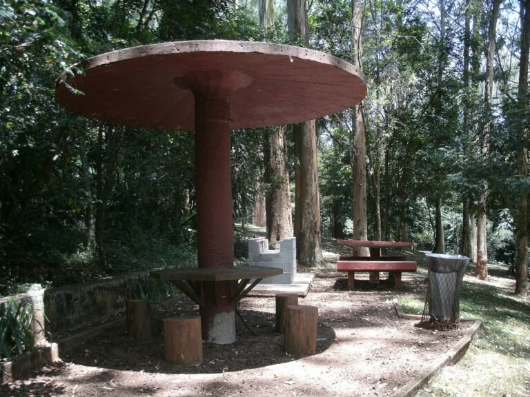 Quiosque, Churrasqueira e Mesa - Parque Guarapiranga - Av. Guarapiranga 505