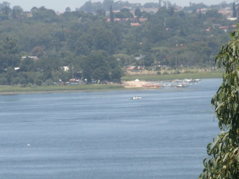 Vista da Represa - Parque Guarapiranga - Av. Guarapiranga 505 (5)