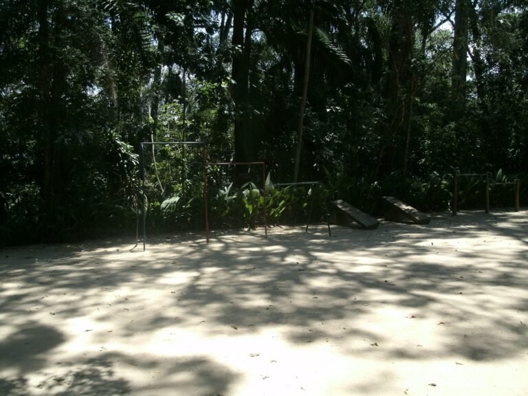 Ginastica - Parque Guarapiranga - Av. Guarapiranga 505 (1)