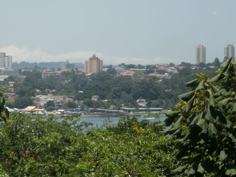 Vista da Represa - Parque Guarapiranga - Av. Guarapiranga 505 (7)