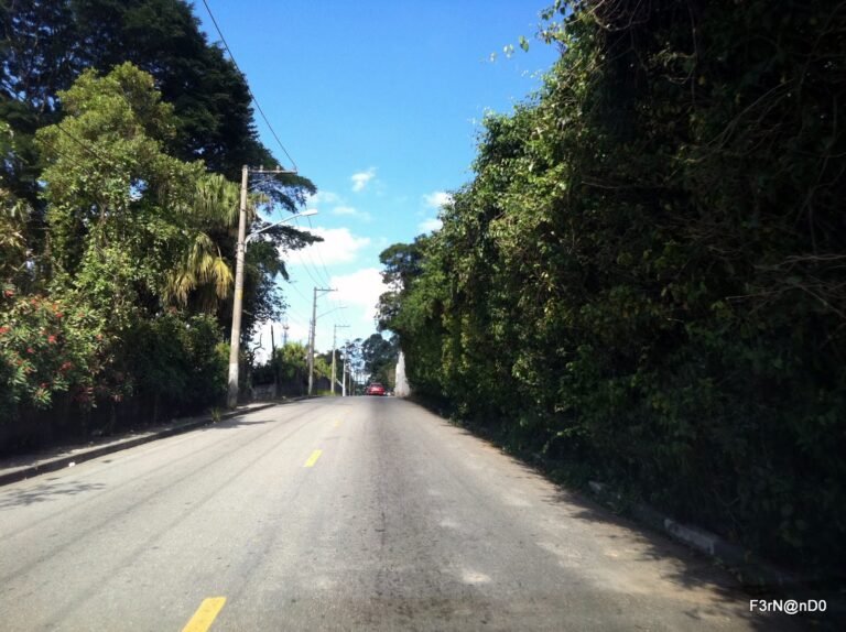 Pesqueiro do Carmo - SP