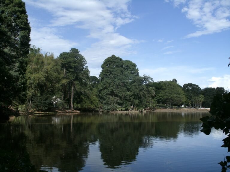 Parque Alberto Löfgren (Horto Florestal)