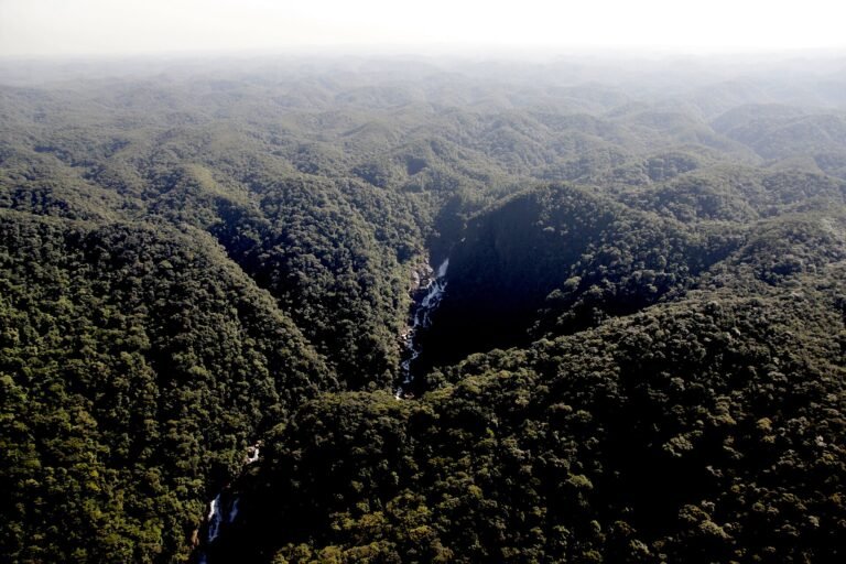 Polo de pelezinho Ecoturismo de São Paulo - Mata Atlântica e Cachoeira da Usina em Marsilac