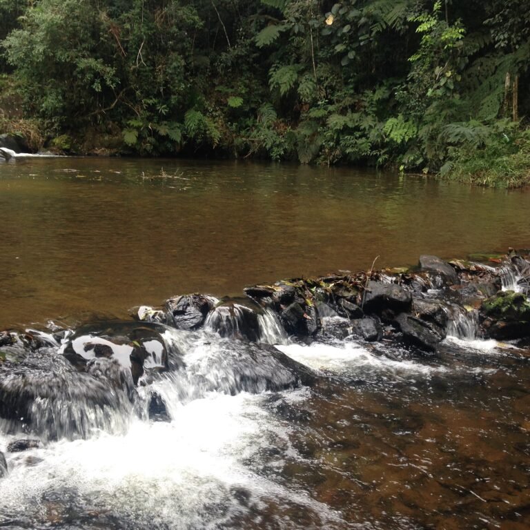 Cachoeira próximo a estrada do Marsilac