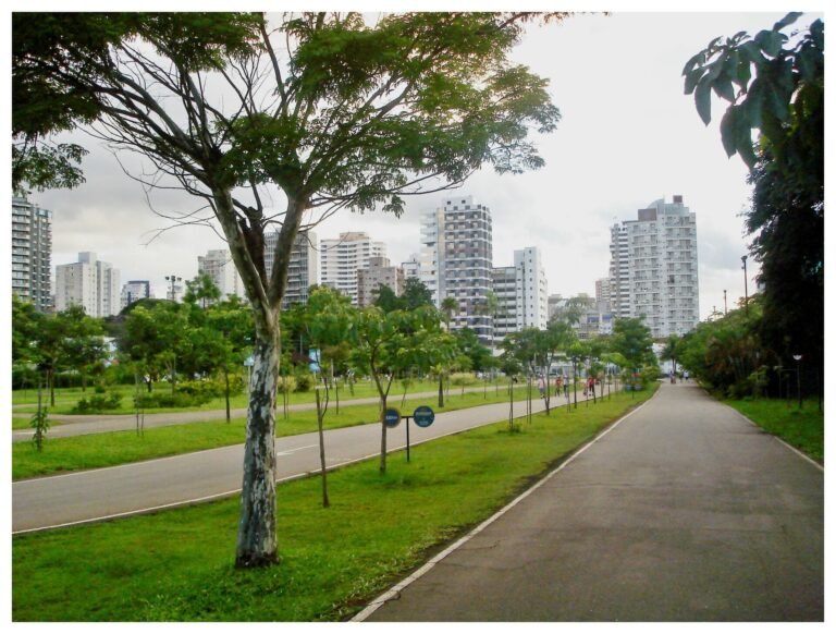 Parque das Bicicletas, Moema Índios ao fundo