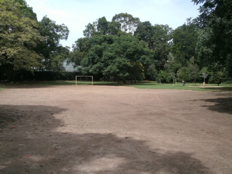 Parque Ibirapuera - Área para Futebol