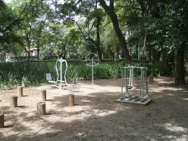 Parque Ibirapuera - Área de Fitness