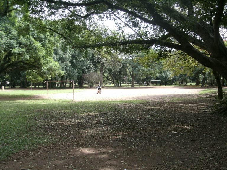 Parque Ibirapuera - Área para Futebol