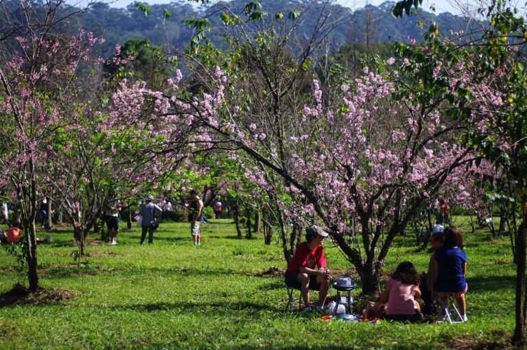 Parque do Carmo