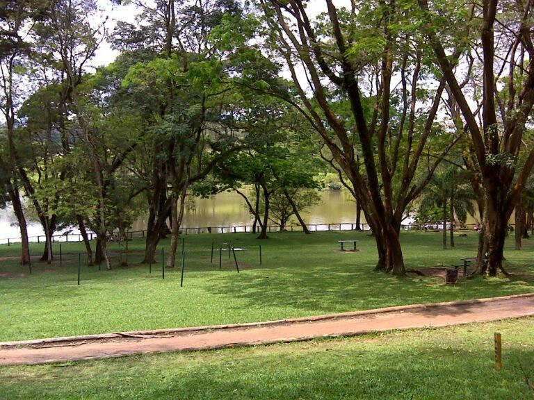Mais uma vez o Lago no parque do carmo