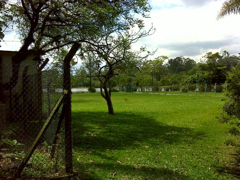 Outra vista do lago