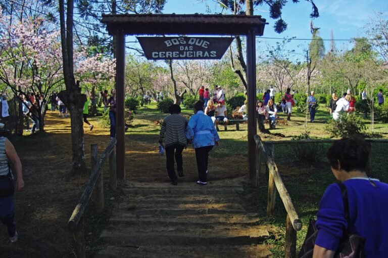 Bosque das Cerejeiras, Parque do Carmo, São Paulo - SP