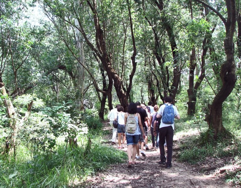 Visita do coletivo de grupos de extensão EPA (espaço projeto ação) ao CEU Alvarenga durante a semana dos bixos de 2011 d