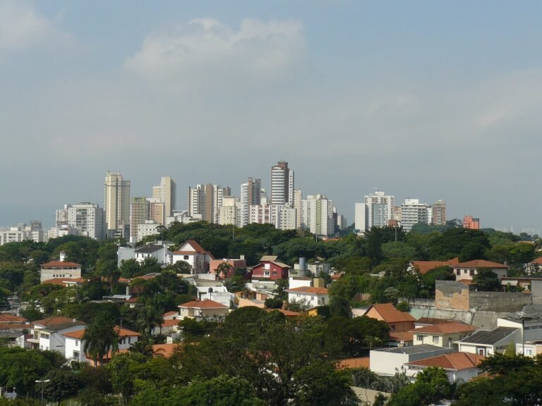 P1160166