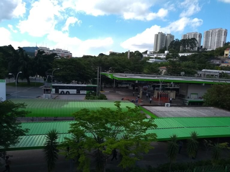 Visão do Terminal Municipal de Ônibus Pirituba (São Paulo/SP/Brasil) pelo Viaduto Raimundo Pereira de Magalhães.