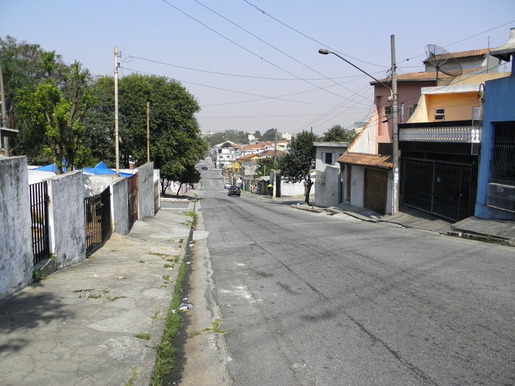 Morar na Ponte Rasa: guia do distrito entre a Penha e Ermelino General Ferreira de Azevedo 2