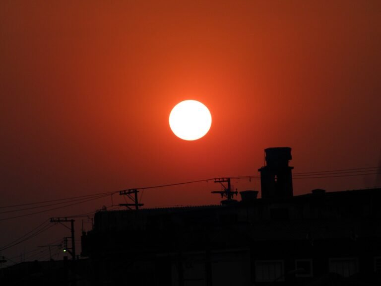 SOL. O REI