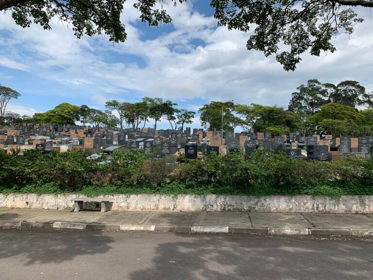 Jewish cemetery Butantã