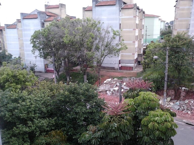 Rua Amelia 2012
