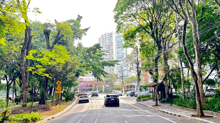 Avenida Braz Leme, Zona Norte da cidade de São Paulo/SP