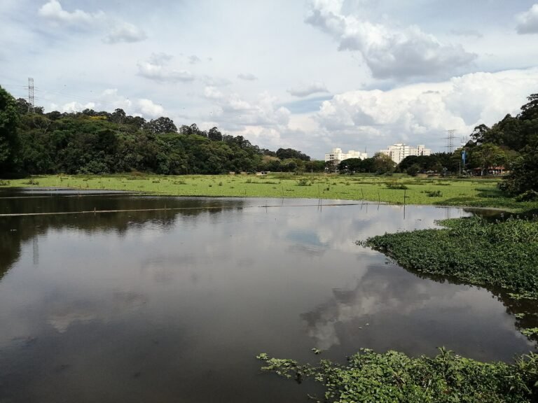 Parque Toronto, em São Paulo