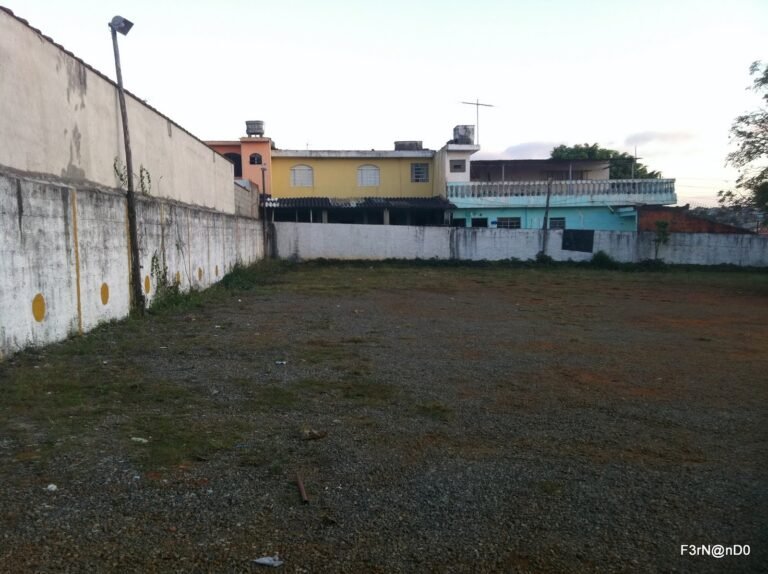 Rua Alarico de Toleto Pizza - SP