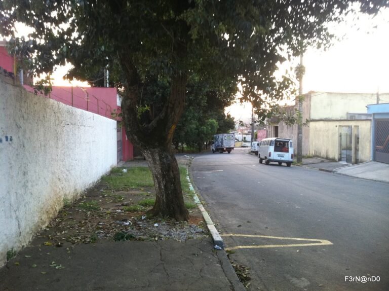 Rua Alarico de Toleto Pizza - SP