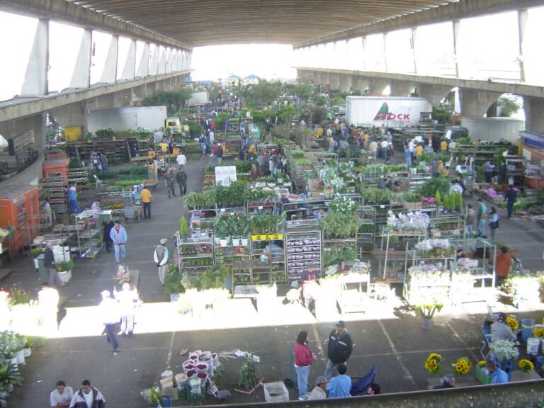 mercado de flores - CEAGESP